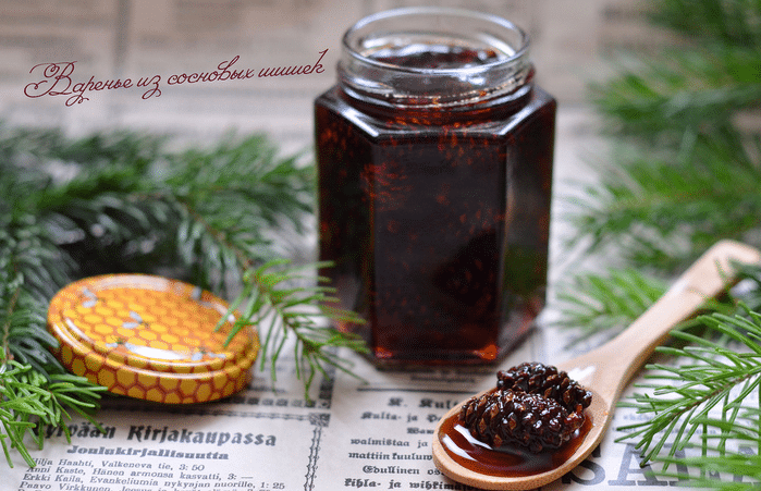 Варення із соснових або ялинових шишок рецепт з фото покроково і відео