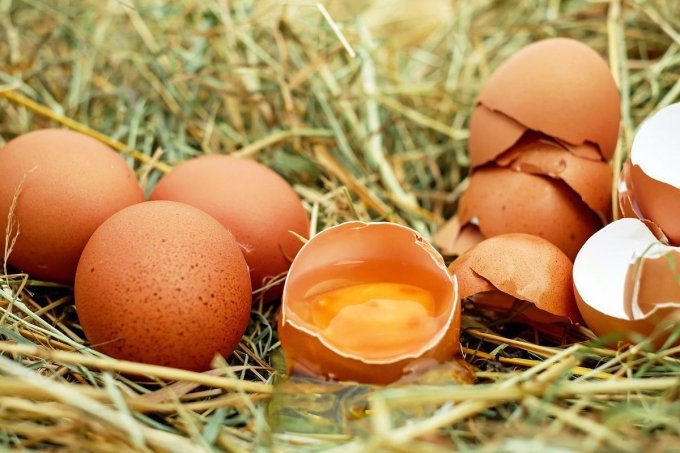 3 звичайні продукти, які стануть чудовими натуральними добривами для рослин