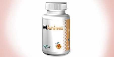 5 кращих мультивітамінів для кішок — огляд препаратів з описом та дозуванням