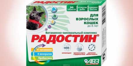 5 кращих мультивітамінів для кішок — огляд препаратів з описом та дозуванням