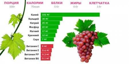 8 корисних властивостей винограду для здоров’я, краси та довголіття