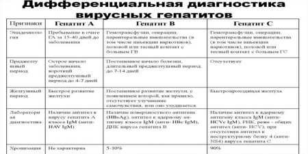 Аналіз крові на гепатит: як підготуватись та зрозуміти результати
