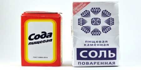 Безпечний і ефективний засіб від бліх у квартирі
