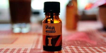 Бура плямистість полуниці – лікування захворювання, покроковий алгоритм дій