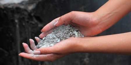 Бура плямистість полуниці – лікування захворювання, покроковий алгоритм дій