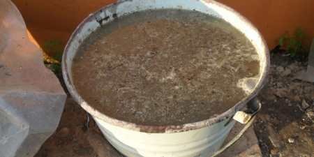 Чим підживити огірки для росту: добрива для гарного врожаю