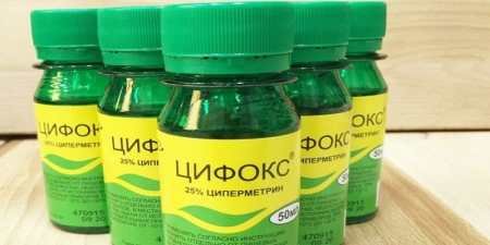 Ефективне застосування Цифоксу для захисту від кліщів: поради та рекомендації
