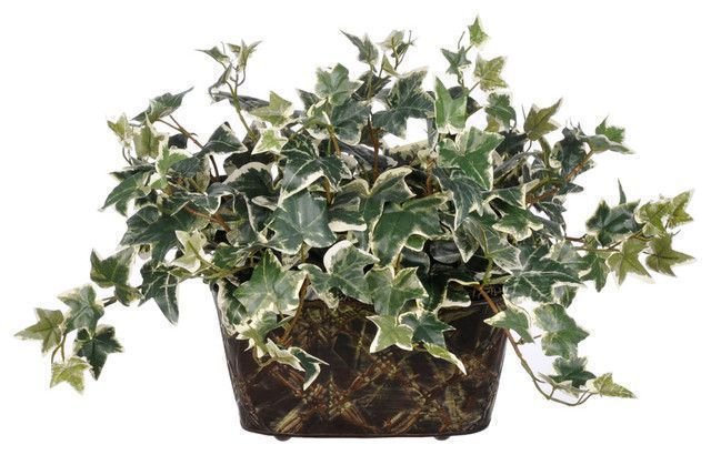 Ці кімнатні квіти сприяють підтриманню чистоти у квартирі