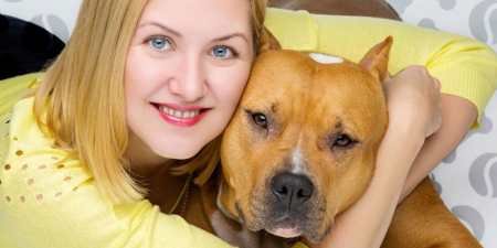 Фоспасім для собак: застосування