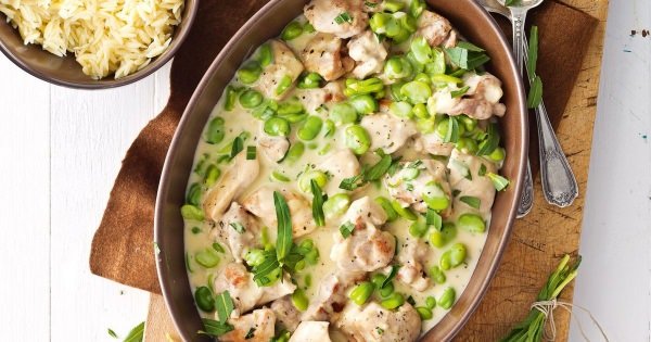 Фрікасе з курки з грибами – 6 рецептів приготування