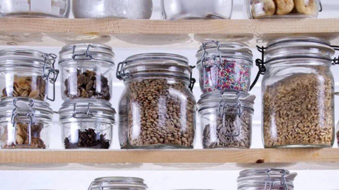 Харчова моль: опис, причини появи та методи боротьби