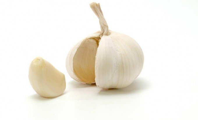 Харчова моль: опис, причини появи та методи боротьби