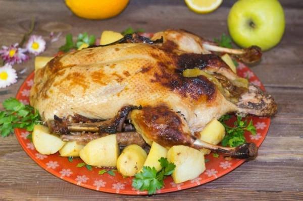 Качка в рукаві в духовці — 5 рецептів приготування