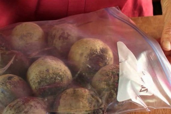 Когда убирать свеклу с грядки на хранение: сроки и правила уборки Фото Видео