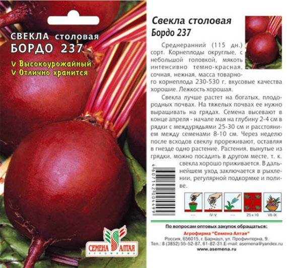 Когда убирать свеклу с грядки на хранение: сроки и правила уборки Фото Видео