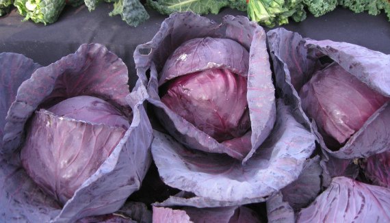 Когда убирать капусту с огорода на хранение по лунному календарю в 2019 году Фото Видео