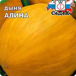 Когда и как сажать дыни на рассаду в 2019 году по лунному календарю, в регионах