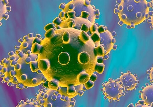 Коронавирусная инфекция - симптомы и лечение у человека