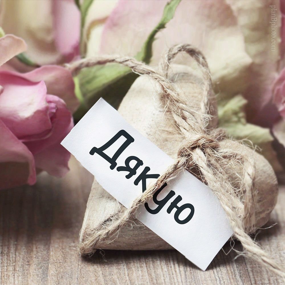 Кращі cлова подяки батькам у прозі, до сліз