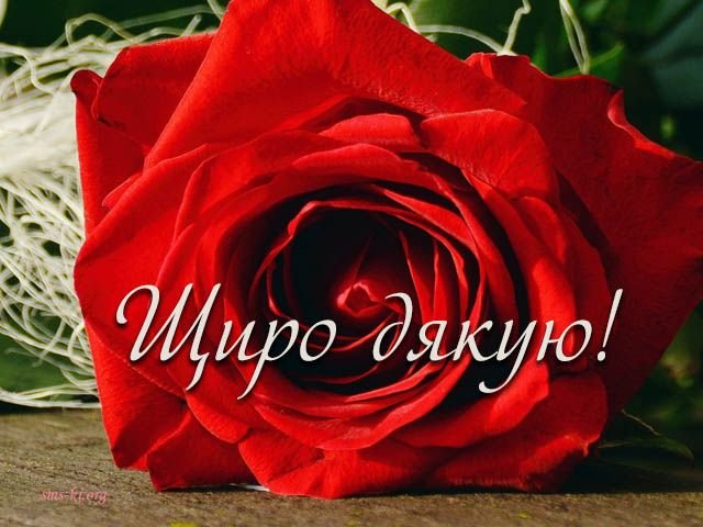 Кращі слова подяки друзям у прозі, до сліз