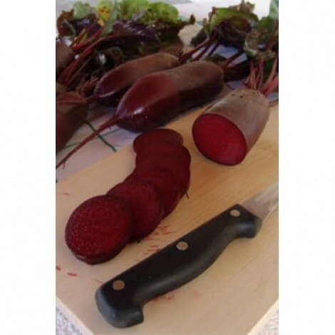 Кращі сорти буряків