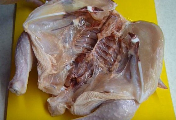 Курка в духовці: самі смачні та прості рецепти з курки