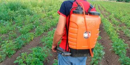 Лазурит від бур’янів на картоплі – інструкція по застосуванню