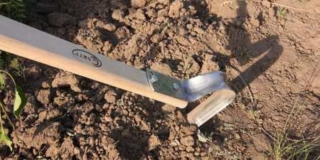 Лазурит від бур’янів на картоплі – інструкція по застосуванню