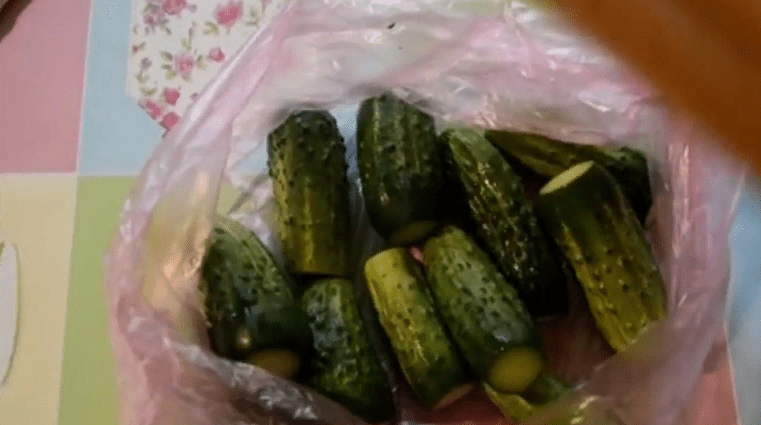 Малосольные огурцы - 6 рецептов малосольных огурчиков быстрого приготовления