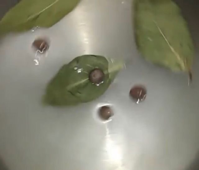 Маринованные помидоры на зиму: Рецепты очень вкусных и сладких помидоров