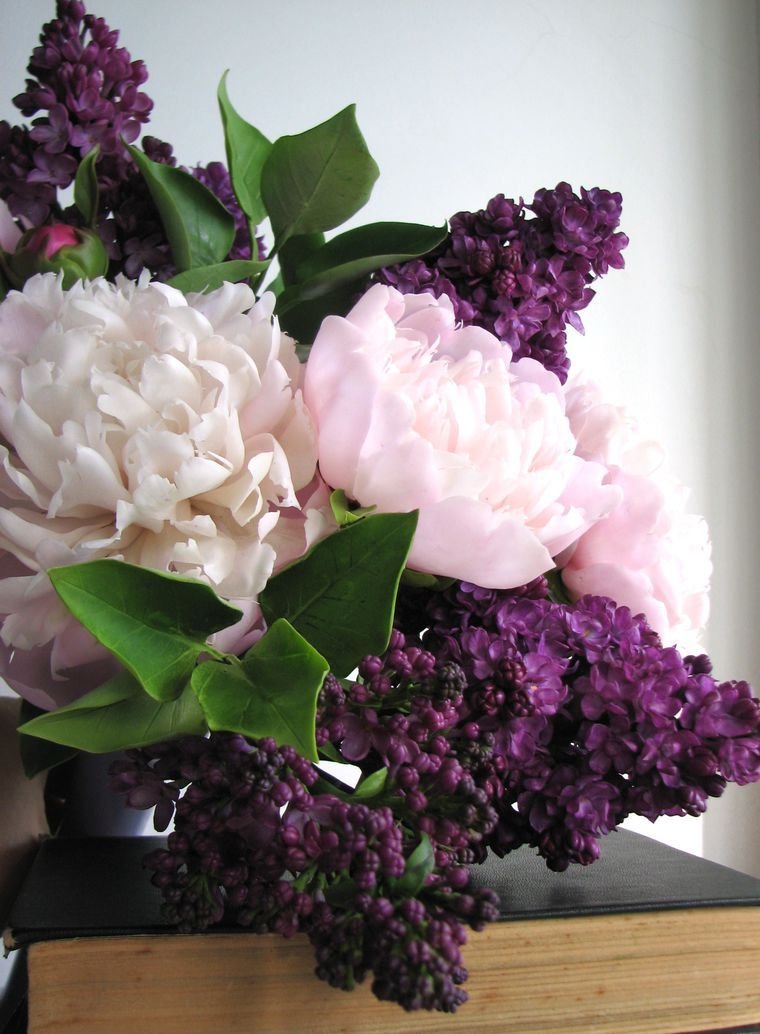 Найкращі привітання з виходом на пенсію у прозі