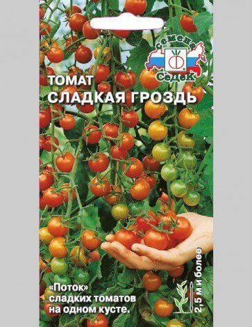 Найкращі ранні сорти помідорів