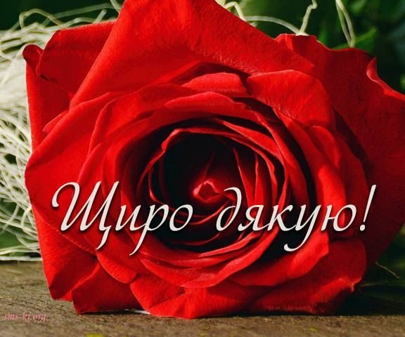 Прості та щирі слова подяки вчителю: найкращі зразки для вас