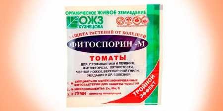 Ефективні препарати для захисту помідорів від фітофтори: обприскування томатів