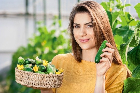 Огурец - польза и вред для здоровья человека, для женщины, для мужчин Калорийность
