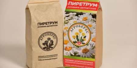 Ефективні засоби проти мурах: захист вашого городу та квартири
