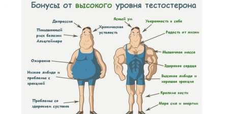Ознаки підвищеного тестостерону у чоловіків і наслідки
