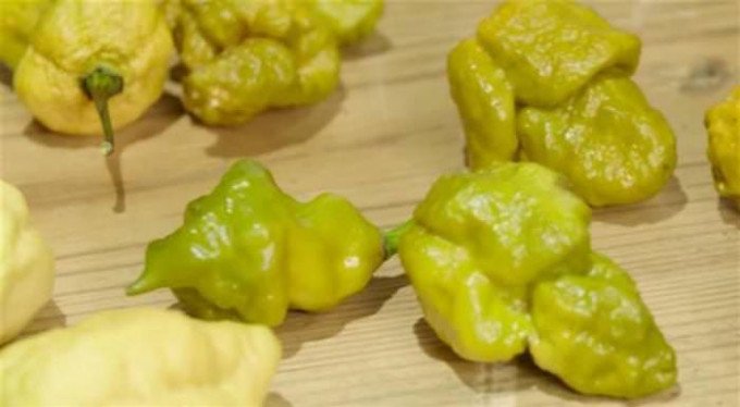 Перець Ікс: Найгостріший у світі перець встановив новий рекорд Scoville