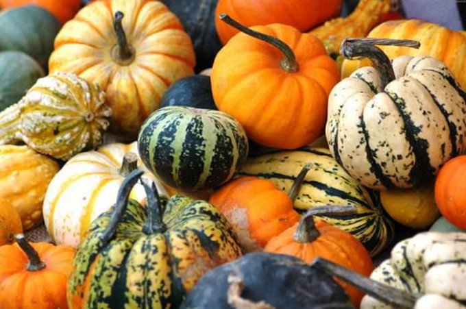 Пиріг з гарбуза — 7 шалено смачних рецептів