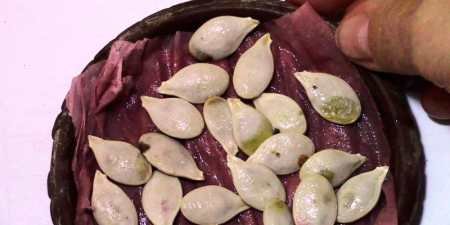 Посадка гарбуза — коли і як треба висаджувати, правила поливу та підживлення, боротьба з хворобами та шкідниками