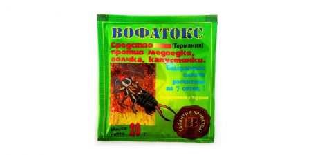 Препарати від капустянки — найкращі методи боротьби з комахами на садовій ділянці з описом