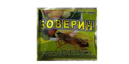 Препарати від капустянки — найкращі методи боротьби з комахами на садовій ділянці з описом