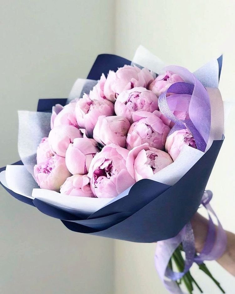 Привітання з Днем студента простими словами