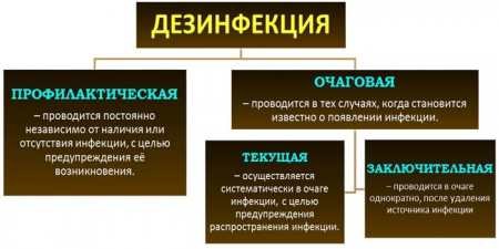 Профілактична дезінфекція приміщення — способи і засоби проведення