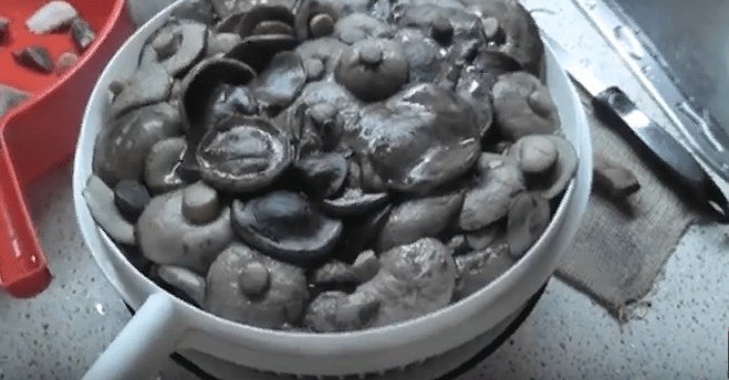 Рецепт маринованных подберезовиков на зиму в банках: заготовка грибов и приготовление с уксусом