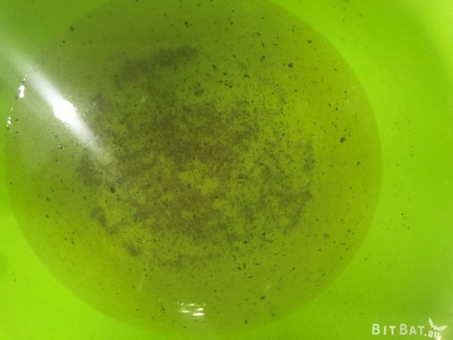 Шашлик на сковороді з курки на шпажках