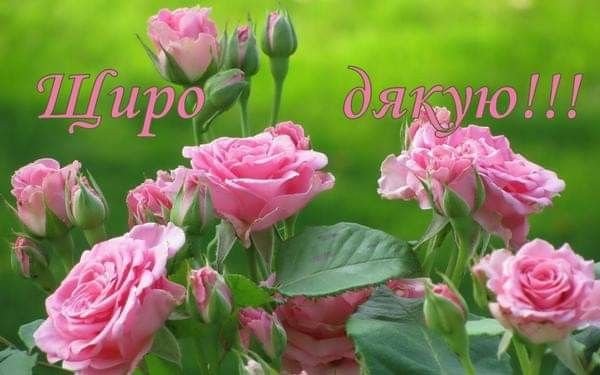 Щирі слова подяки друзям