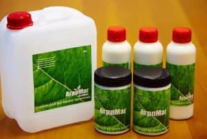 Що любить кімнатний жасмин, поради по догляду за рослиною в домашніх умовах