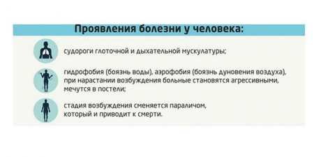 Симптоми сказу у людини і інкубаційний період хвороби