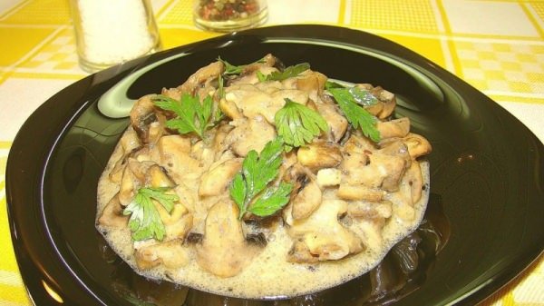 Смажені гриби з цибулею – 7 рецептів приготування